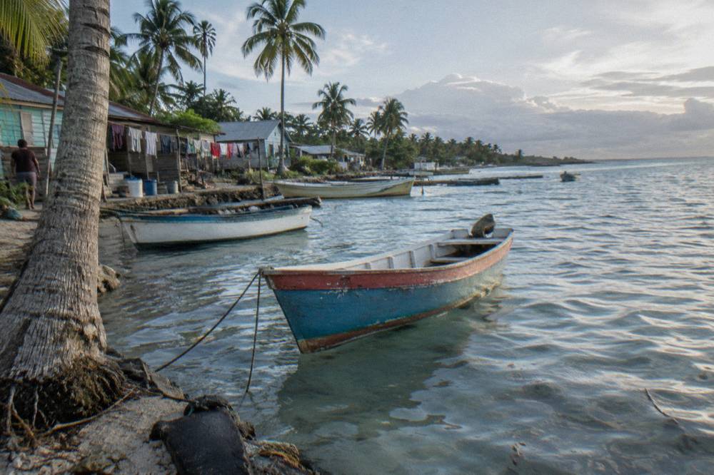 A small Caribbean fishing village waterfront with wooden boats moored beside palm trees in early morning light